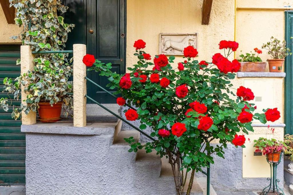 Relax Stay In A Typical Milan Courtyard - Navigli Milão Exterior foto